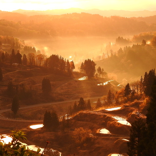 見頃は9月。一度は見てみたい新潟県十日町市の棚田
