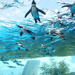 週末の天気は？晴れの日・雨の日・暑い日・寒い日〈天候別〉『東京近郊おでかけマップ』