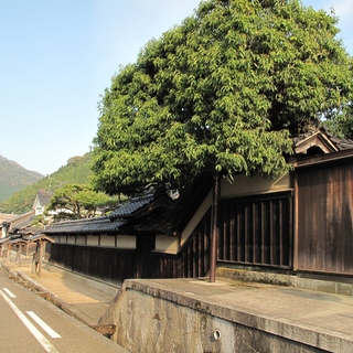 【中国地方】日本で最も美しい村　 ～鳥取県智頭町編～