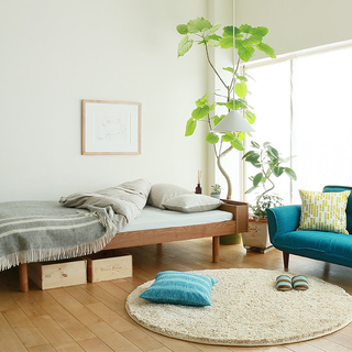 北欧インテリアにぴったりのグリーンをお部屋に【簡単な育て方ガイド付き】