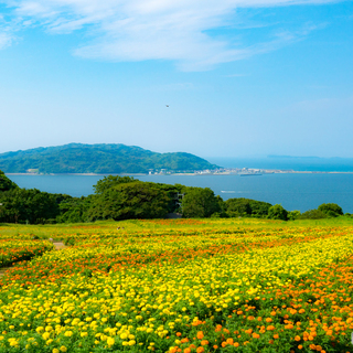 福岡市内から日帰りプチ船旅♪四季の花々に囲まれた小さな離島「能古島」ガイド