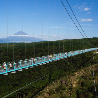 冨士の湧水が彩る水辺。女子旅にぴったり！水の都【三島】に行ってみない？
