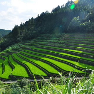 【九州地方】日本で最も美しい村～福岡県星野村編～