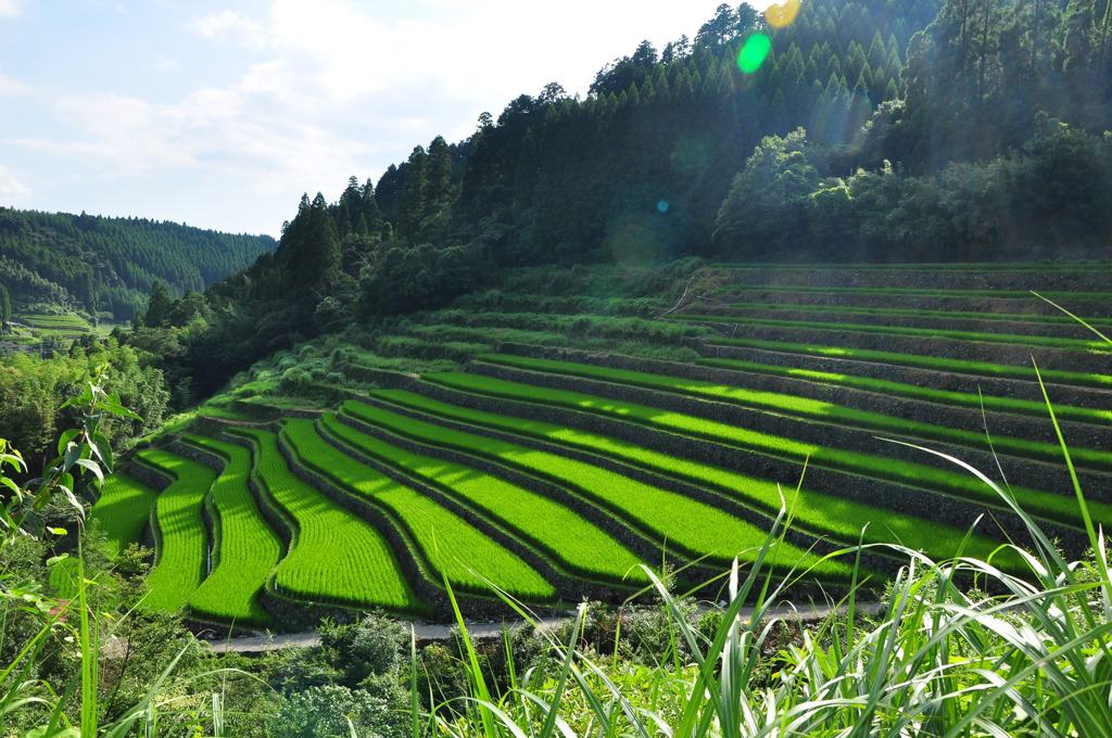九州地方】日本で最も美しい村～福岡県星野村編～ | キナリノ