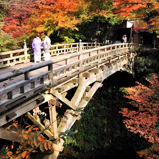 秋の風情を感じたくて。紅葉・スイーツ・歴史…五感で愉しむ『金沢の大人女子旅』