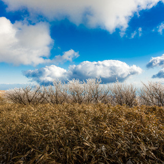 気ままに歩いてみよう！自然と歴史が息づく、日本の素敵な5つの【さんぽ道】案内 