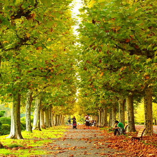 ゆったり秋を感じよう。一度は訪れたい都内の庭園巡りガイド*