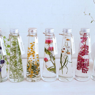 水中でゆらめく美しい草花♪植物標本「ハーバリウム」の癒しの世界