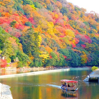 錦絵のように素晴らしい景色を訪れませんか？　京都の紅葉名所～宇治編～