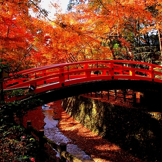 錦絵のように素晴らしい景色を訪れませんか？　京都の紅葉名所～洛中・洛西編～