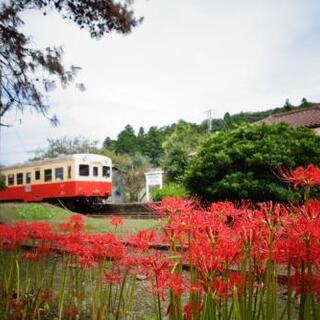 【関東】1度は訪れたい！秋の「絶景スポット」＆おすすめ「列車の旅」8選