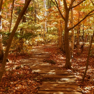 都内からプチ女子旅♪自然いっぱいの「清里」へ秋を探しに出かけよう