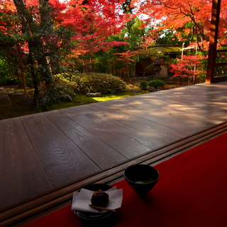 黄色とオレンジ、抹茶色。《大人の京都》紅葉とお茶席を楽しめるお寺巡り