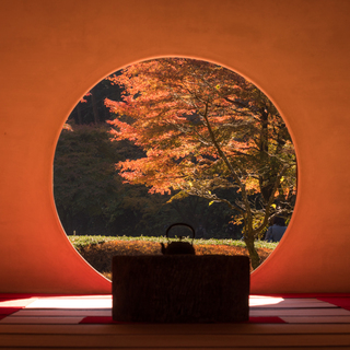 紅葉を見に鎌倉へ。神社・寺院、カフェ、温泉…“秋”を感じる鎌倉日帰り旅行