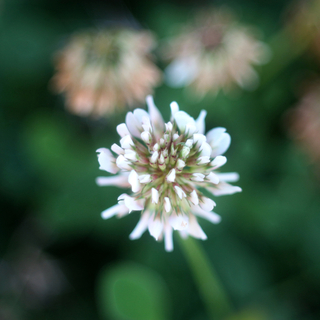 たおやかに美しく。現代の女性らしい“大和撫子”な生き方とは?