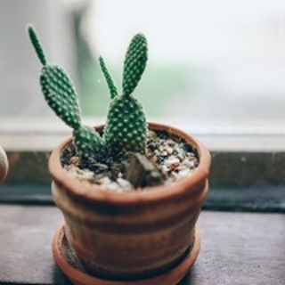 「ちょうどいい」って気持ちいい。 毎日が嬉しくなる『私サイズの暮らしの始め方』