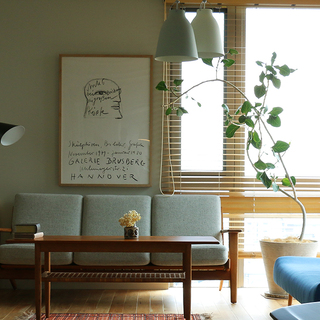 冬こそ、グリーンでお部屋を明るく！『寒さに強い観葉植物』10選＆飾り方のコツ