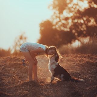 可愛いだけじゃダメ。大切な家族だから考えたい「犬を迎え入れる心構え」