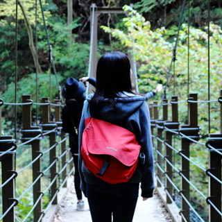 都心からすぐ！自然の魅力を満喫。週末は【高尾山】へ出かけよう♪