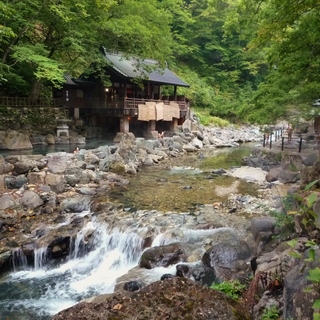 今こそ乗りたい『はとバスツアー』。東京在住組も楽しめる【関東近郊日帰りツアー編】