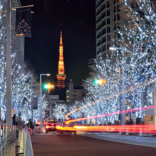 今こそ乗りたい『はとバスツアー』。家族や友人にも案内したい【東京・横浜観光編】