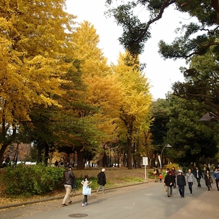 まる一日楽しめる「上野」観光。おすすめの《大人の遠足・社会科見学・グルメ》スポット
