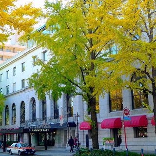 カメラ女子必見*ノスタルジックな趣に癒される、日本の“クラシックホテル”案内(関東篇)