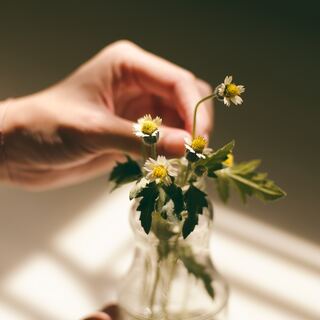 “今の私”の中に「宝物」を見つけよう。『満ち足りた気分』を自分で作り出す7つのコツ