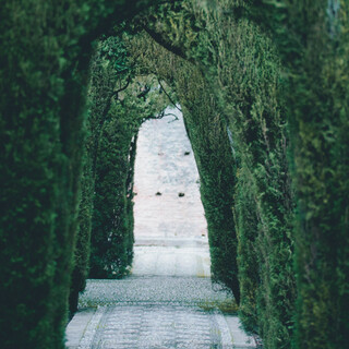  カメラ女子必見＊思わず迷い込みたくなる、素敵な“ヨーロッパの名庭”4選