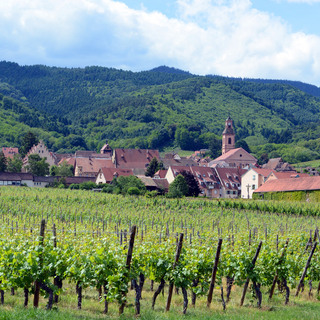 一生に一度は訪れてみたい世界の絶景　～フランス・アルザス地方郊外編～