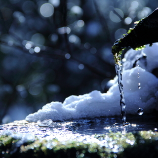 しんと静かで、ほっこりあたたかい「冬の京都」へ。おすすめスポット＆あつあつお鍋店 5選