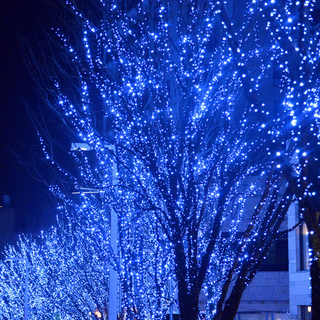 冬を彩るきらめく世界☆クリスマス気分を盛り上げるうっとり「イルミネーション」@東京