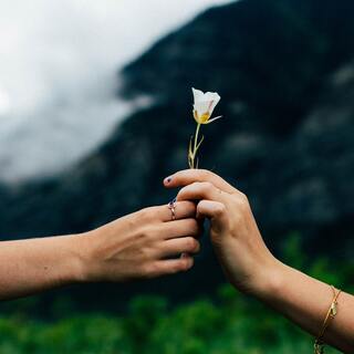 文化の違いに興味津々＊海外ではあたり前の "ドネーション（寄付）"について知ろう