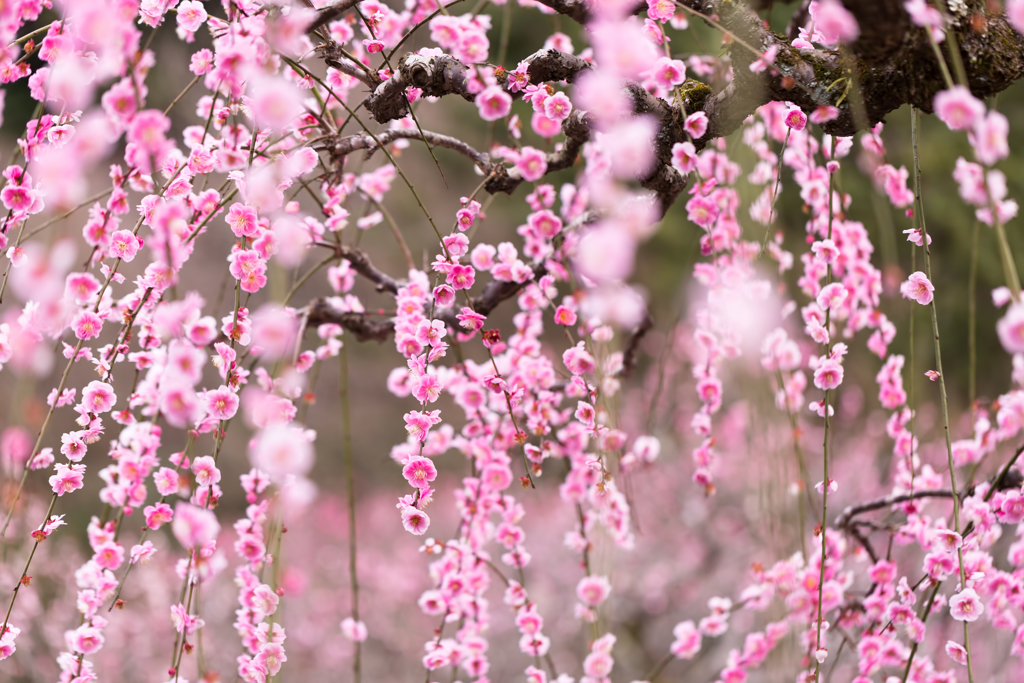 e65cfe6a45aa9a4606ec98026b3068