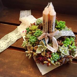 多肉でリースが作れるって知ってた？可愛くて癒される「多肉リース」の作りかた