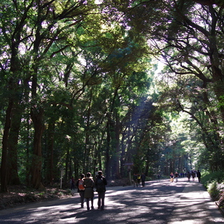 ステキなご縁を引き寄せて♪《都内近郊》おすすめ「縁結び」パワースポット＆カフェ4選