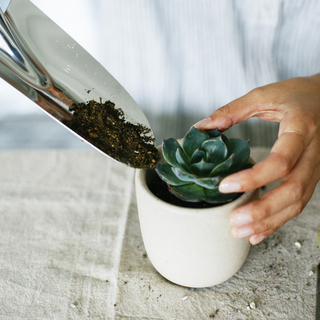 平日も休日も、毎日がしあわせ。誰にでもわかりやすい「シンプルライフ」のはじめかた