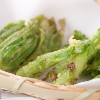 春を告げる大人のほろ苦さ。知っておきたい《季節の山菜》下処理とレシピ集