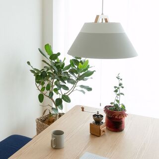 ちょっとしたことなんです…。でもこれが知りたかった！【インテリアのお悩み相談室】