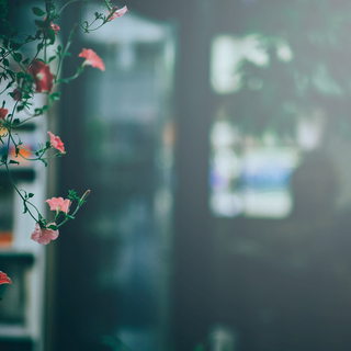 「持たない」ことで得られる真の豊かさとは?『シンプルライフ』に学ぶしあわせの秘訣