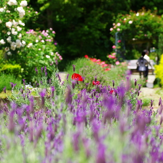 温かな日差しに包まれて。“わたしのリセット旅－熱海編ー”
