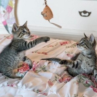 ずっと居たくなる部屋づくり。 子ども達が自然と仲良くなる「置くだけ」の仕掛け