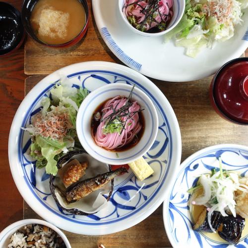 砥部焼 江泉窯 浅鉢(小)唐草文【和食器通販e-tobeyaki.com】