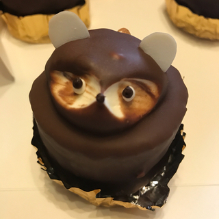 可愛すぎて食べられないっ！全国「たぬきケーキ」のあるお店18選