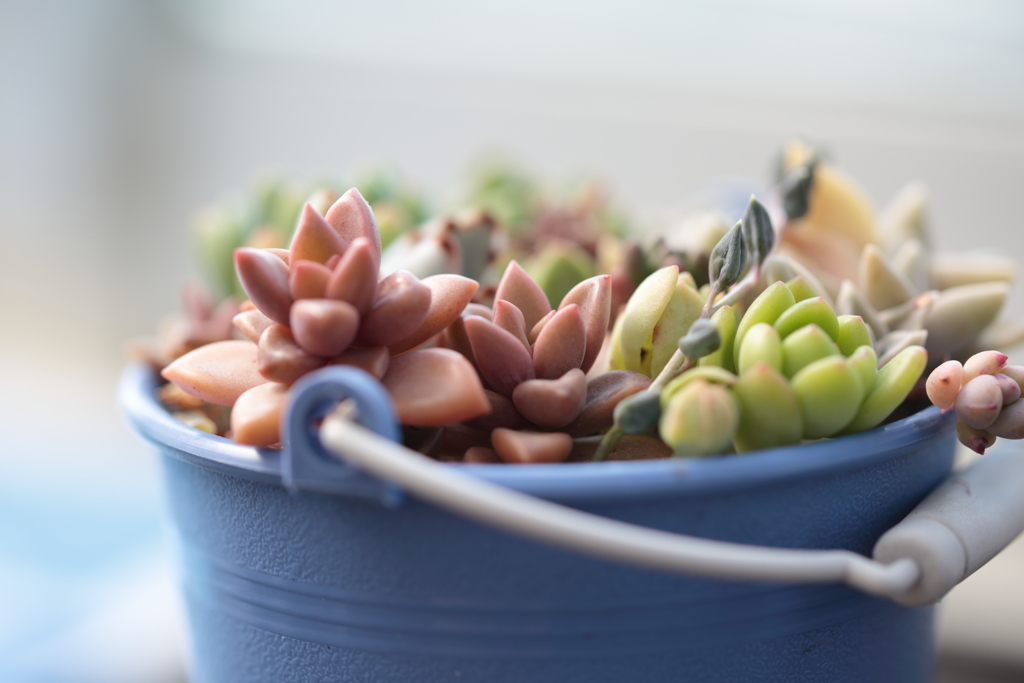 6738fac8dc4a80fb85e062657a71e7