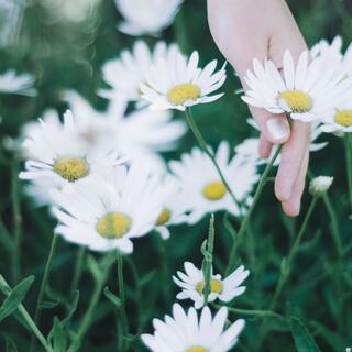 踏ん張ったからこそ見える景色がある。始めるより大変かも、何かをやめるということ