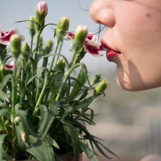 一足お先に春を感じる、優しい気持ちになれる『素敵映画』をご紹介＊