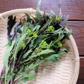 こだわり野菜が買えるちょっと特別なお店『VEGEO VEGECO 根津』と『坂ノ途中soil』