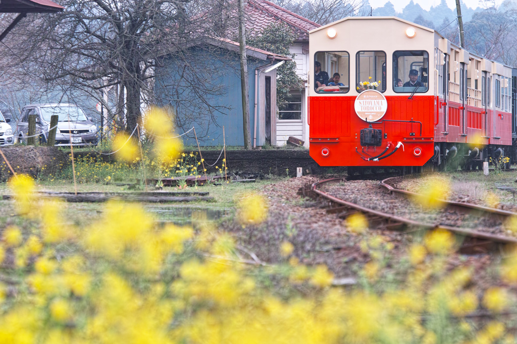 列車の旅 のんびり 旅列車(小湊鉄道) 500ピース ジグソーパズル 豊かな自然とのどかな景色を求めて。「小湊鉄道」のんびり各駅列車の旅