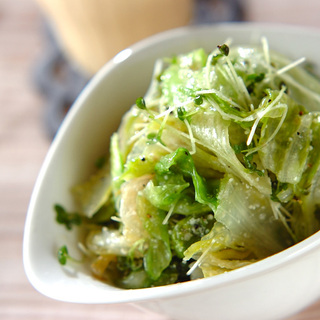 飽きない工夫が大切◎おなじみ〈葉物野菜別〉のサラダ・レシピ集